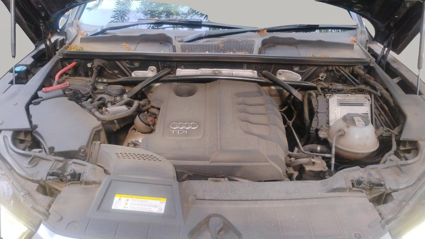 2018 Audi Q5 35 TDI PREMIUM PLUS, Diesel, Automatic, 77,669 km, Open Bonnet
